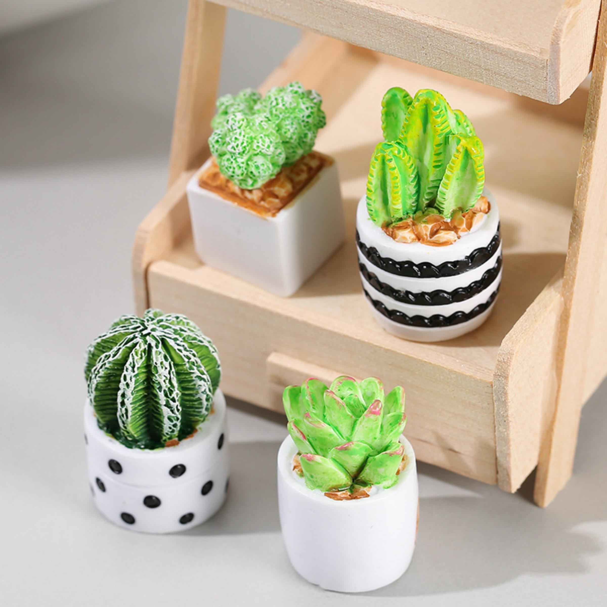 Echeveria Succulent - 4-delige set cactus- en vetplanten in