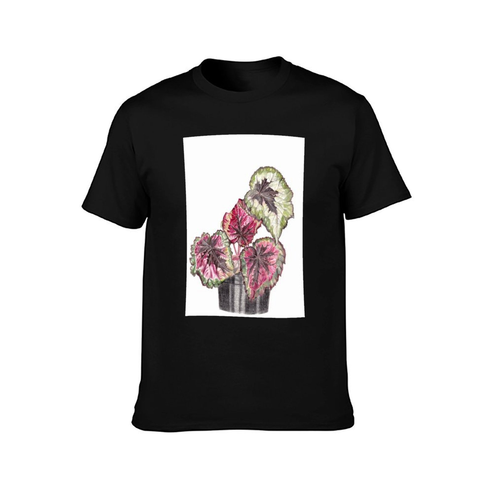 Begonia Rex T-shirt, zomerse,  - Begonia Rex recensie en prijs