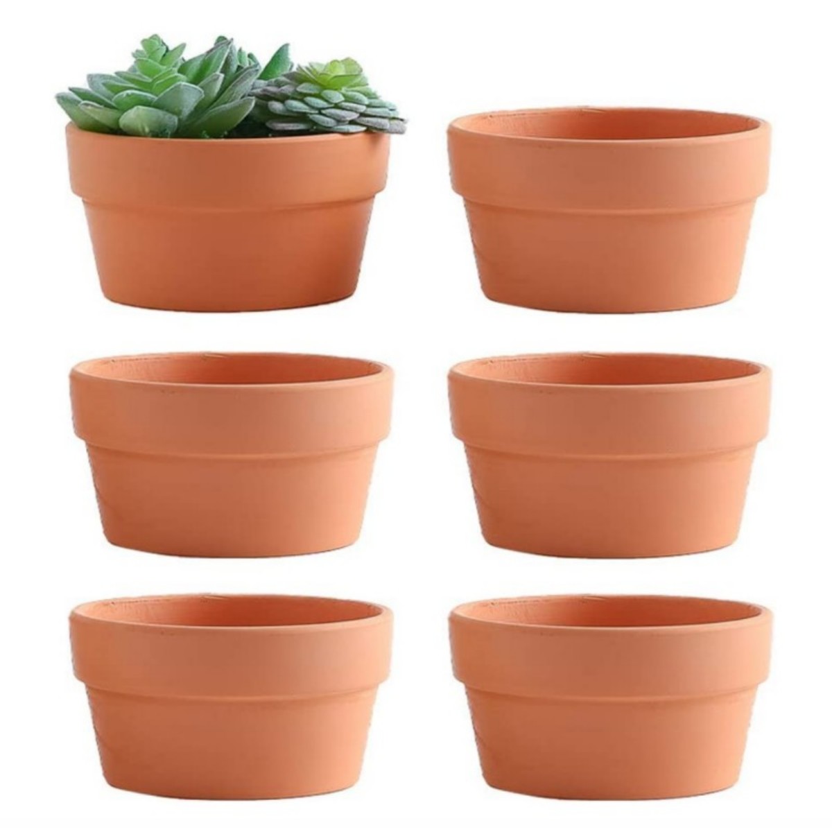 6 Stuks Terracotta Buldpotten  - Aloe Vera Pot recensie en prijs