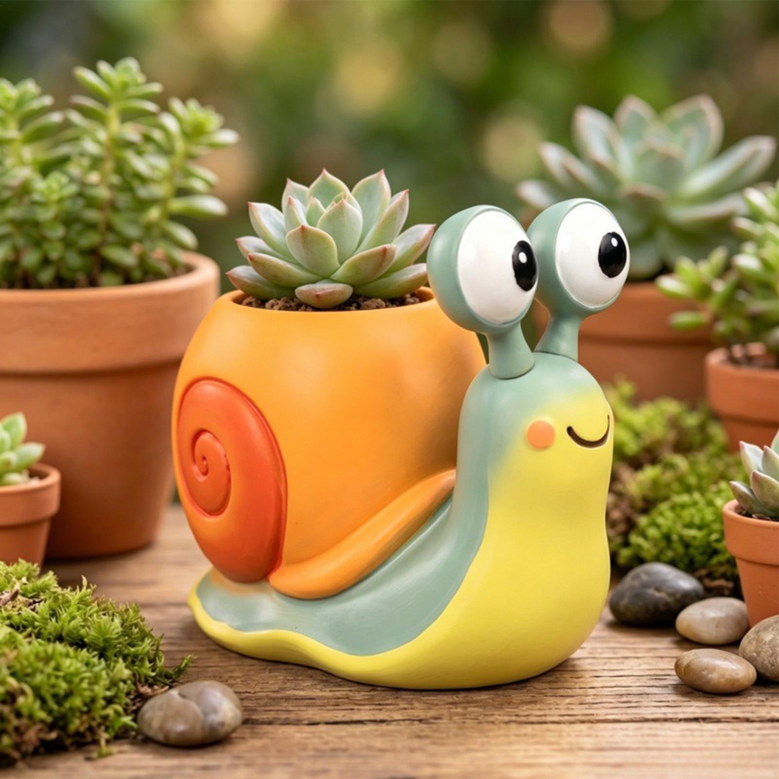 Bloempot in de vorm van een sl - Echeveria Succulent recensie en prijs
