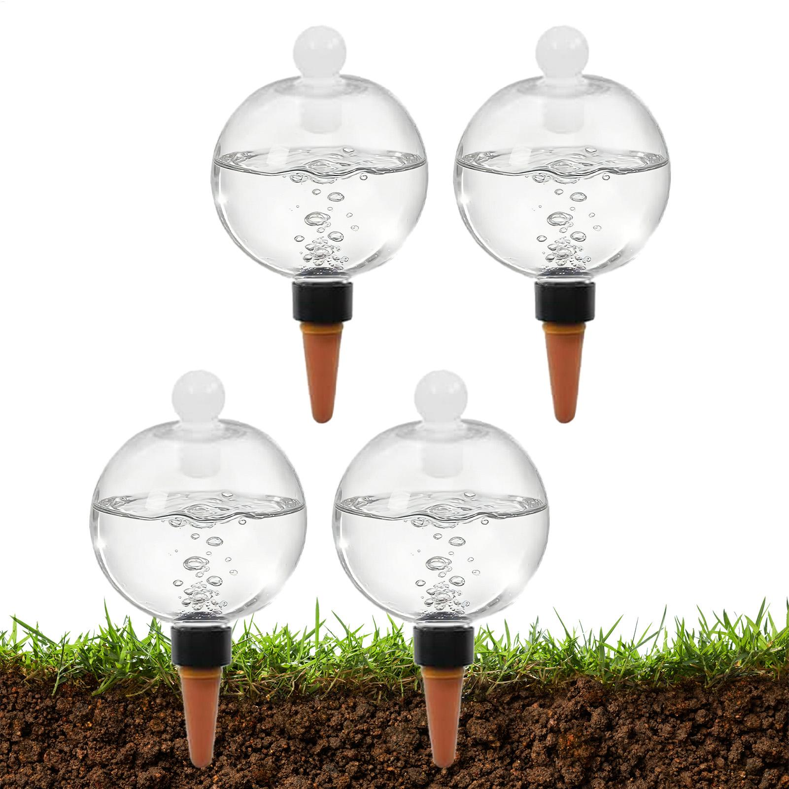 Plantenbewateringsbollen 4 stu - Echeveria Succulent recensie en prijs