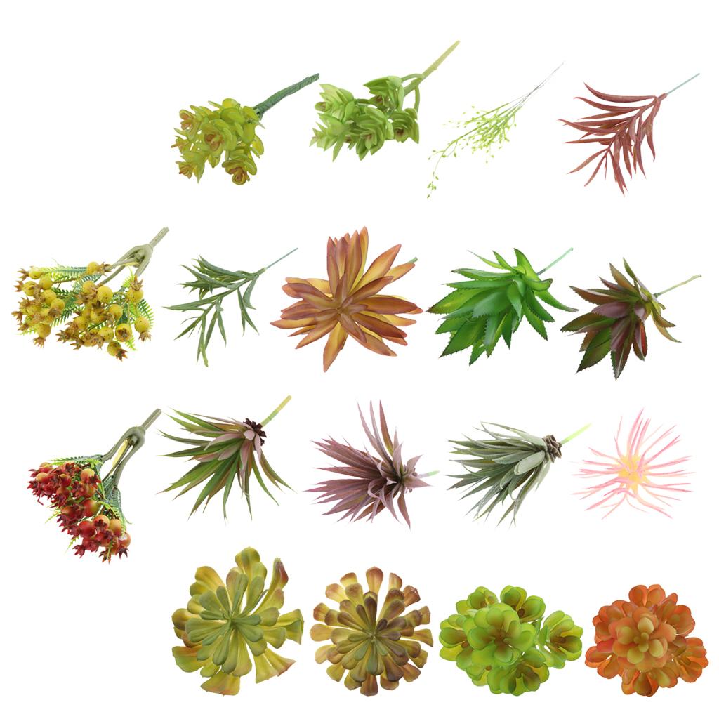 Kunstmatige plastic succulente - Echeveria Succulent recensie en prijs