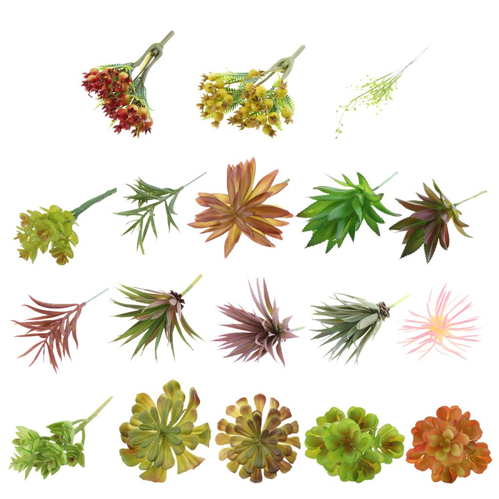 Kunstmatige plastic succulente - Echeveria Succulent recensie en prijs