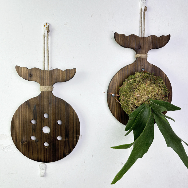 Nieuwe houten wandplank voor s - Aloe Vera Pot recensie en prijs
