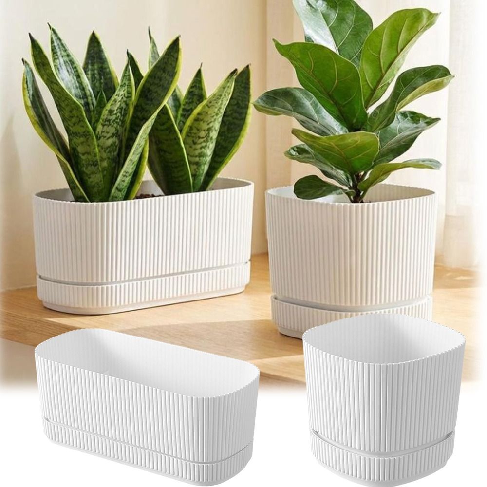 Plastic zelfwatergevende bloem - Aloe Vera Pot recensie en prijs