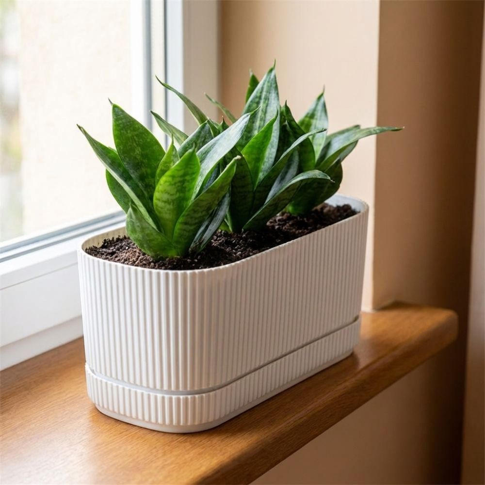Plastic zelfwatergevende bloem - Aloe Vera Pot recensie en prijs