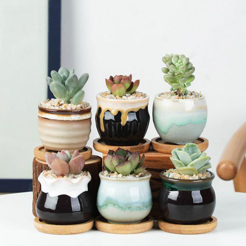 6 stks/set Keramische Bloempot - Aloe Vera Pot recensie en prijs