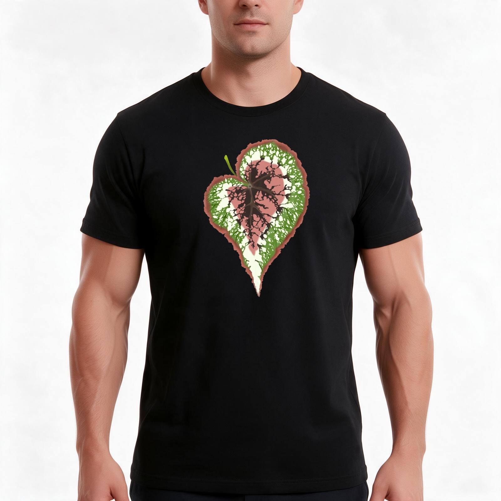 Begonia Rex T-shirt, zomerse,  - Begonia Rex recensie en prijs