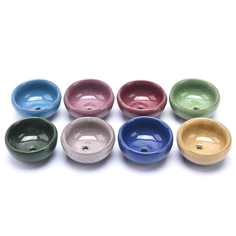 Leuke Ice-Crack Glaze Flower K - Echeveria Succulent recensie en prijs