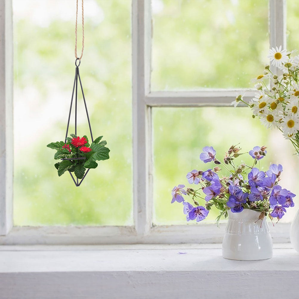 2 stuks hangende metalen plant - Spider Plant Hanging recensie en prijs