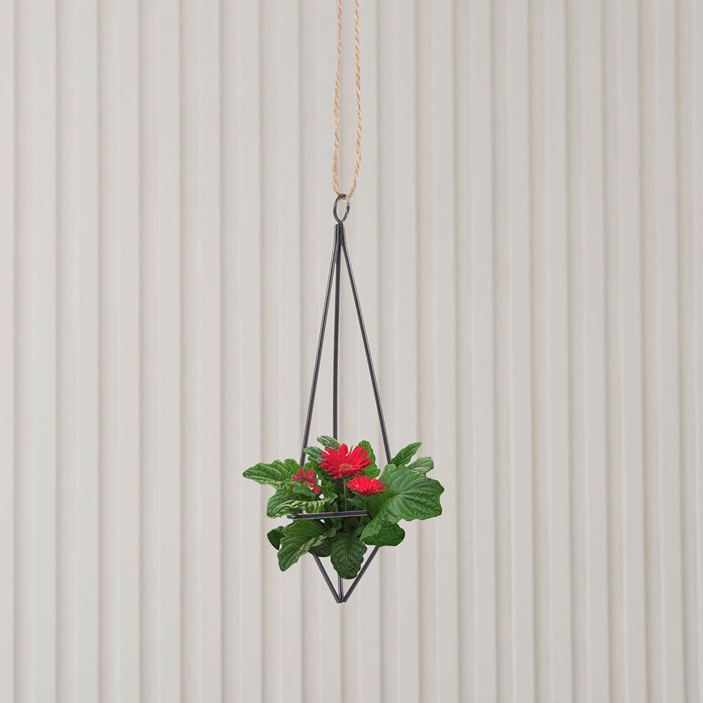 2 stuks hangende metalen plant - Spider Plant Hanging recensie en prijs
