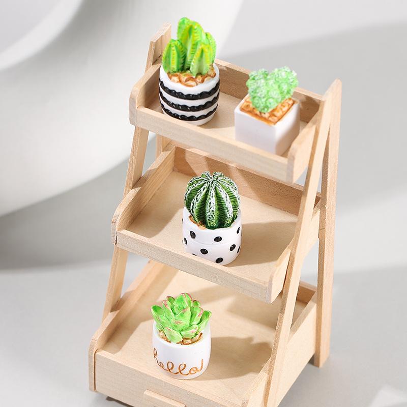 4-delige set cactus- en vetpla - Echeveria Succulent recensie en prijs