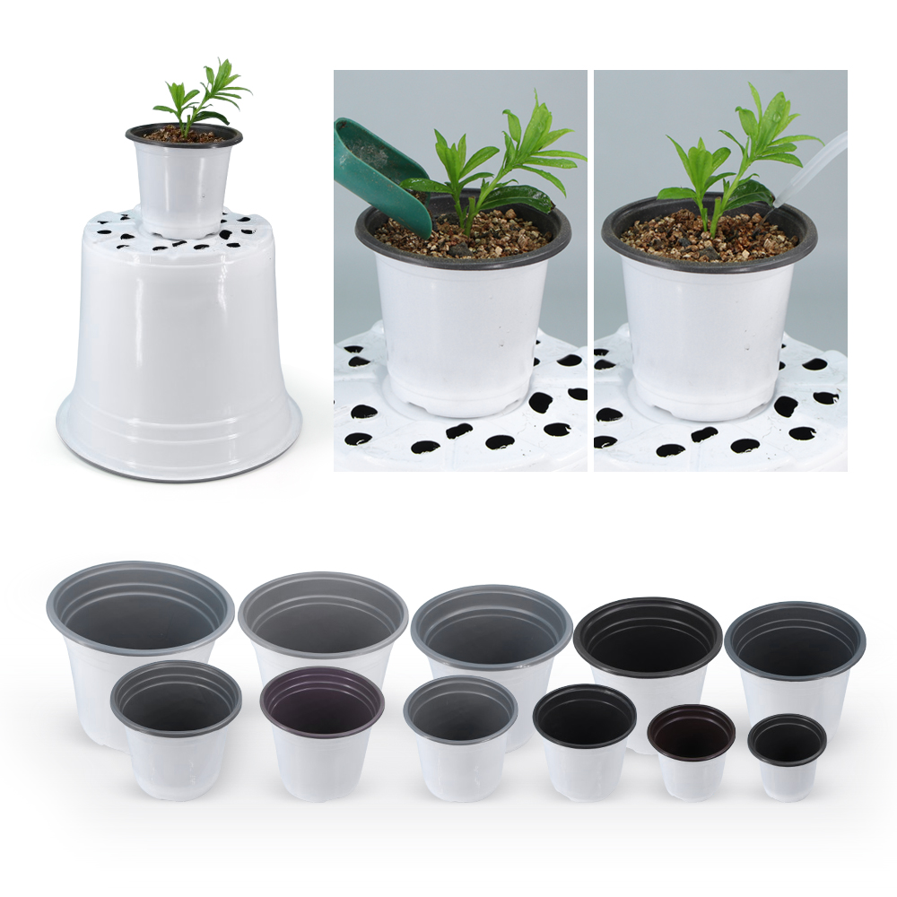 Tuin Witte Plastic Bloempot vo - Echeveria Succulent recensie en prijs